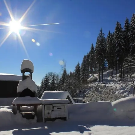 Schoene In Mit Garten, Grill Und Terrasse Apartment Klingenthal