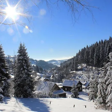Apartment Schoene In Mit Garten, Grill Und Terrasse Klingenthal